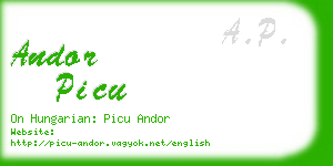 andor picu business card